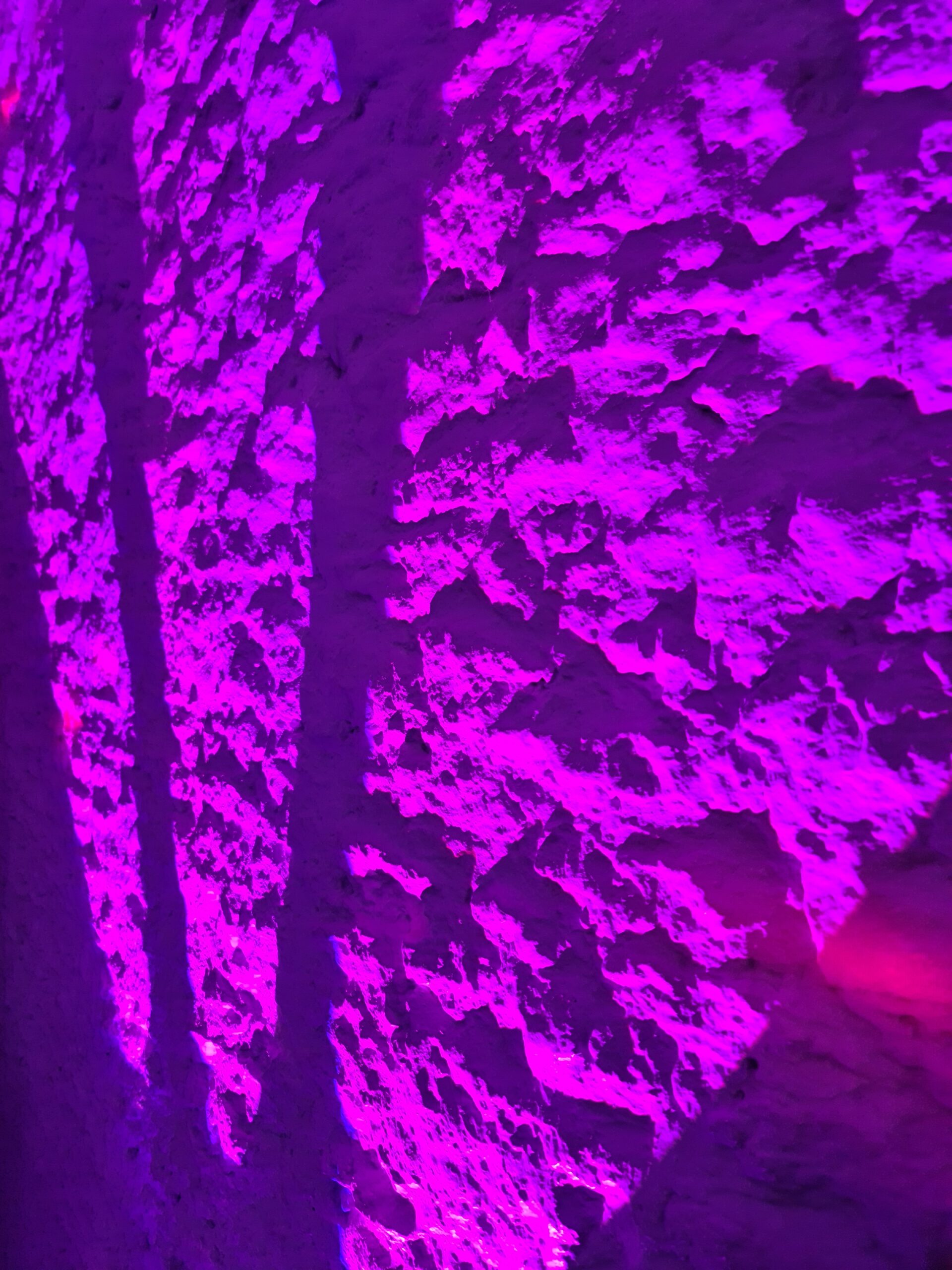 Oxford Discos in Oxfordshire Uplighting Tripple Beam Stone Wall